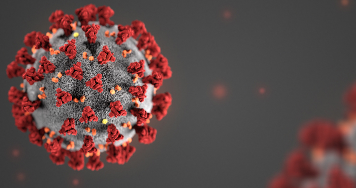 CORONAVIRUS (COVID-19)